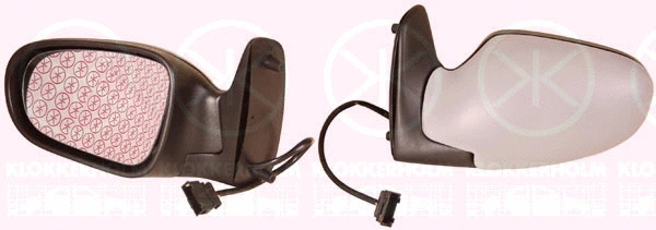 Exterior Mirror (25821047)