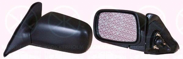 Exterior Mirror (81141021)
