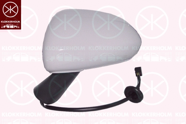 Exterior Mirror (50241042)