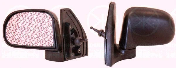 Exterior Mirror (31251021)