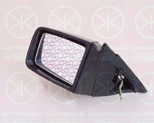 Exterior Mirror (50501022)