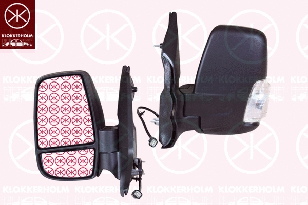 Exterior Mirror (25121023)