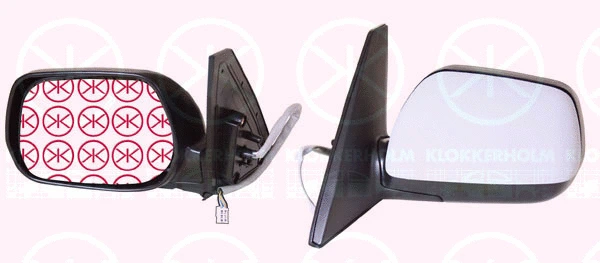 Exterior Mirror (81791042)