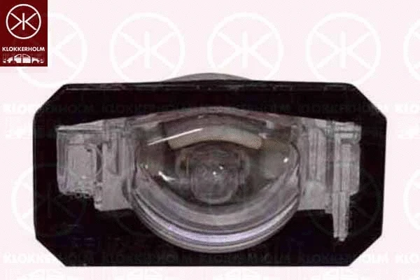 Licence Plate Light (29390850)