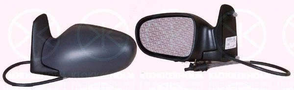 Exterior Mirror (25821021)