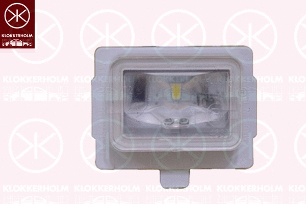 Licence Plate Light (35290855)