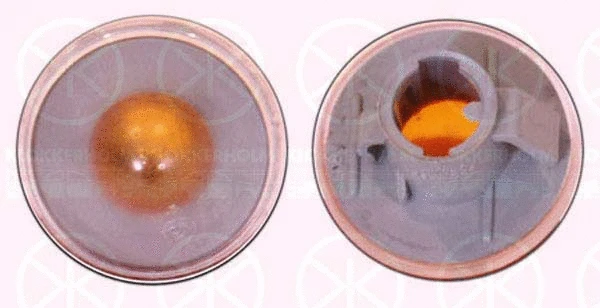 Direction Indicator (20230570)