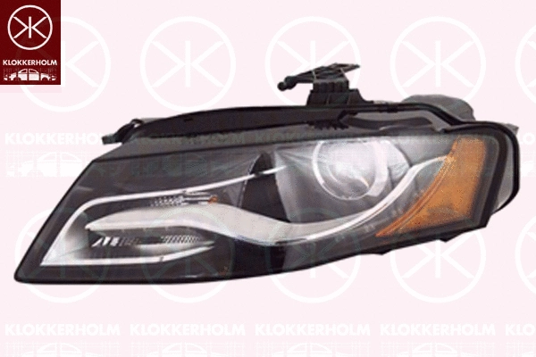 Headlight (00290194A1)