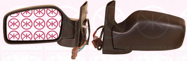 Exterior Mirror (20361041)