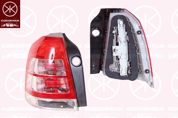 Tail Light Assembly (50630706A1)