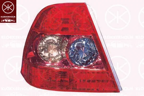 Tail Light Assembly (81160720)