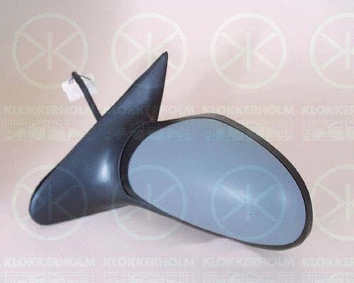 Exterior Mirror (55361045)