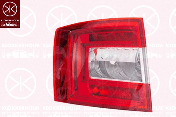 Tail Light Assembly (75220725A1)