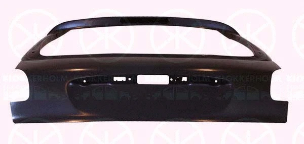 Boot-/Cargo Area Hatch (5507710)