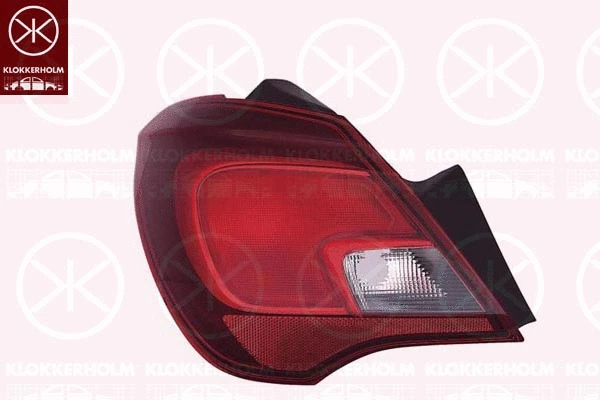 Tail Light Assembly (50250713)