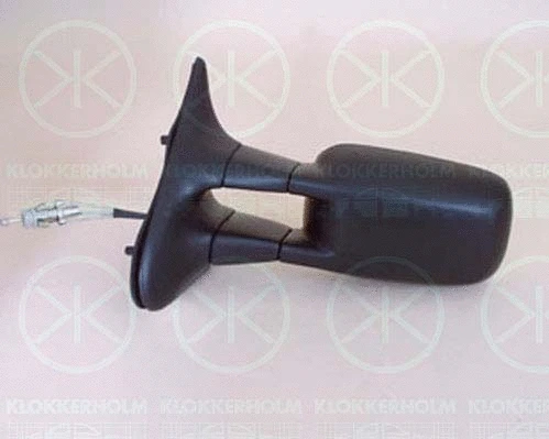 Exterior Mirror (95701021)