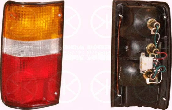 Tail Light Assembly (81040701)