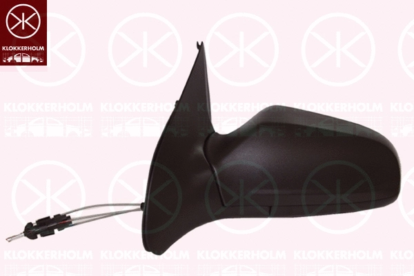 Exterior Mirror (50521021)