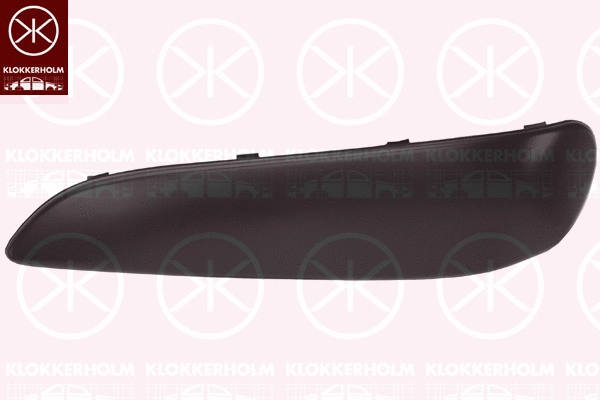 Trim/Protection Strip, bumper (8101923)