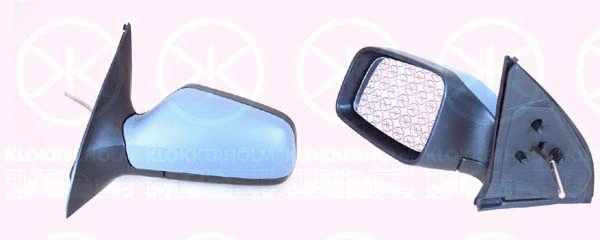 Exterior Mirror (50511021)