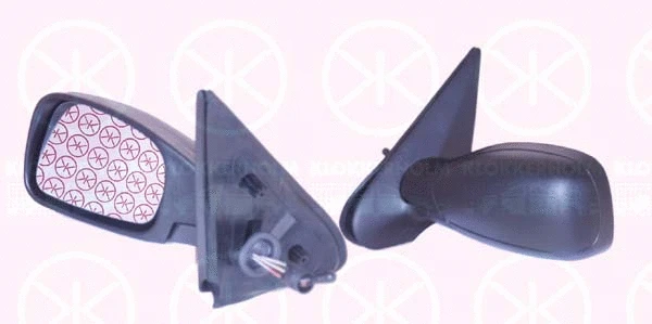 Exterior Mirror (55131022)