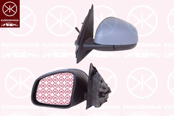 Exterior Mirror (60041022)