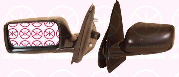 Exterior Mirror (00021031)