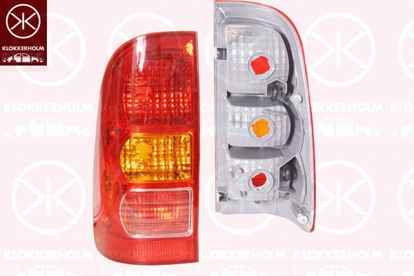 Tail Light Assembly (81270702)