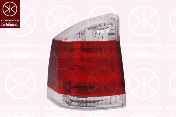 Tail Light Assembly (50780710)