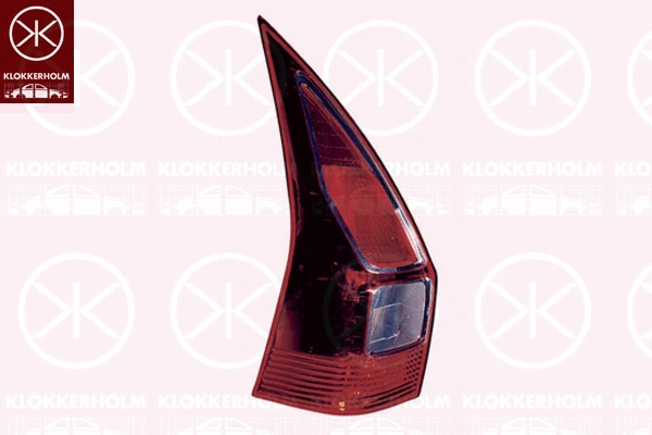 Tail Light Assembly (60410724)