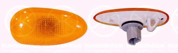 Direction Indicator (11060550)