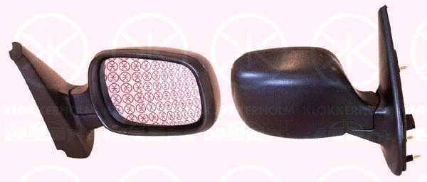 Exterior Mirror (60101042)