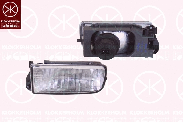 Front Fog Light (00600284)