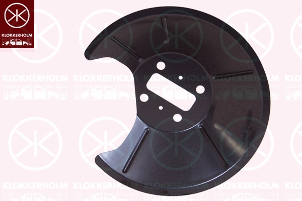 Splash Guard, brake disc (2532875)