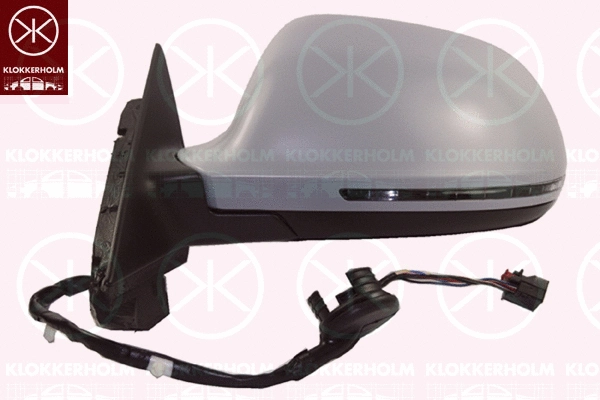 Exterior Mirror (00261077)