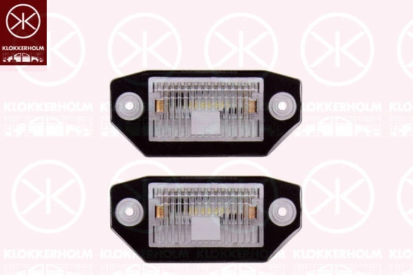 Licence Plate Light (25550855)