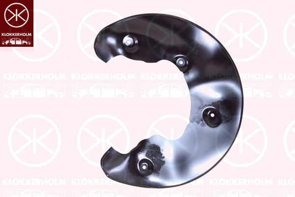 Splash Guard, brake disc (0029377)