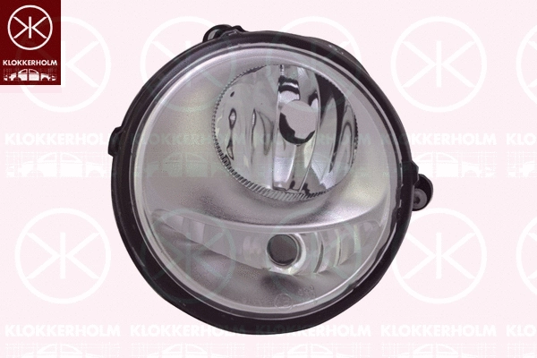 Front Fog Light (60060284)