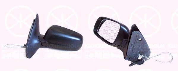 Exterior Mirror (95231021)