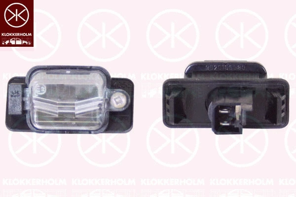 Licence Plate Light (05500850)