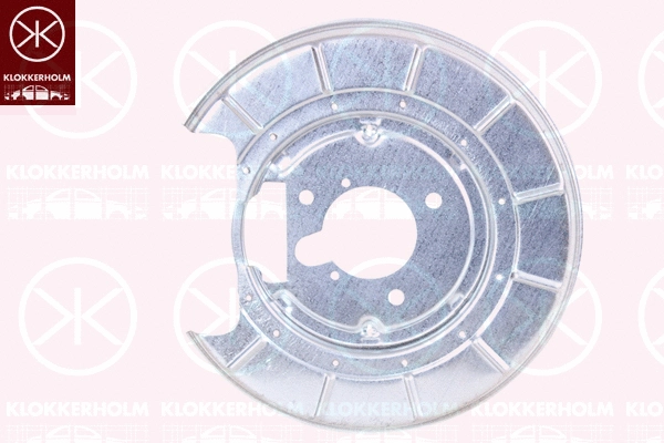 Splash Guard, brake disc (5536877)