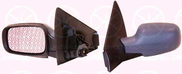 Exterior Mirror (60411043)