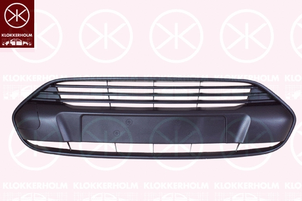 Ventilation Grilles, bumper (2508910)