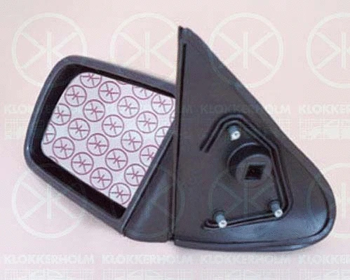 Exterior Mirror (50761042)