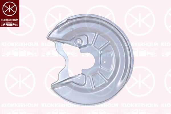 Splash Guard, brake disc (9545875)
