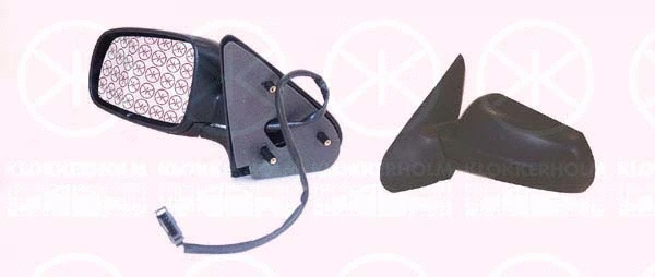 Exterior Mirror (66081042)