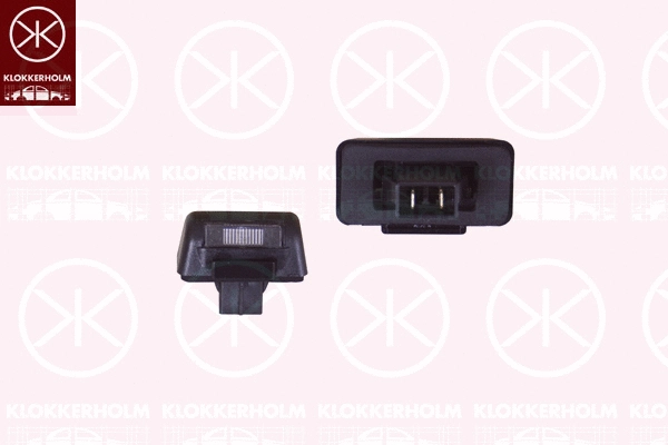 Licence Plate Light (25090850)