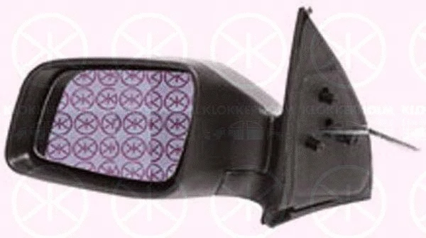 Exterior Mirror (50511023)