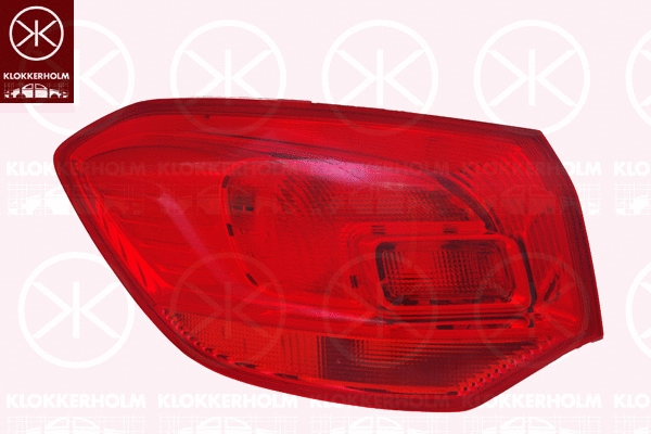 Tail Light Assembly (50530721)