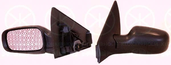 Exterior Mirror (60411041)